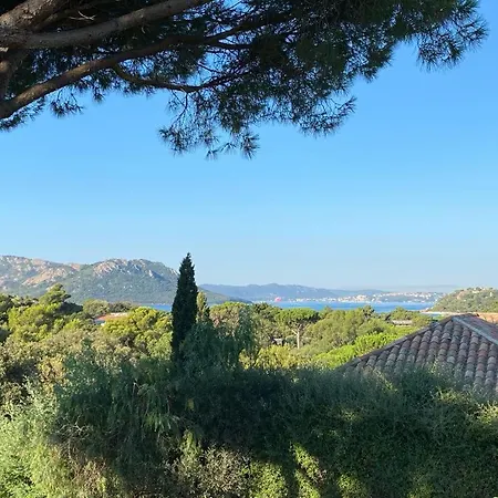 Piscine 10 Pers Domaine De Cala Rossa Corse Du Sud Vila