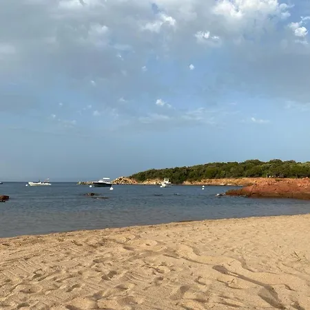 Piscine 10 Pers Domaine De Cala Rossa Corse Du Sud *