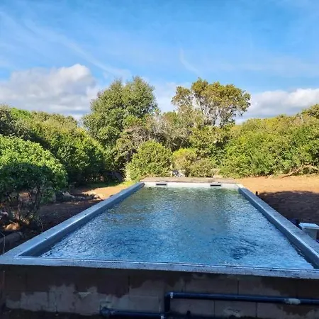Piscine 10 Pers Domaine De Cala Rossa Corse Du Sud Vila