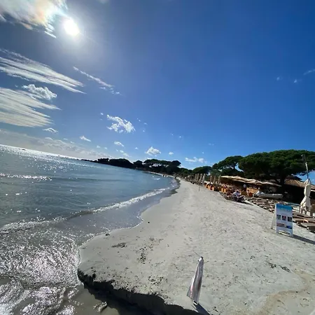 Vila Piscine 10 Pers Domaine De Cala Rossa Corse Du Sud *
