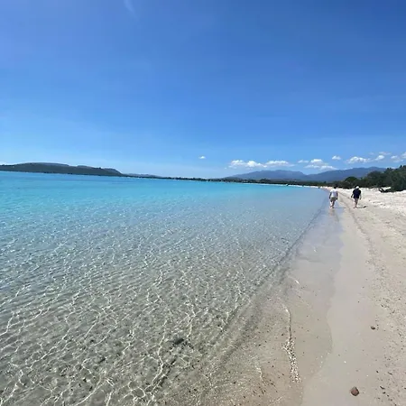 Piscine 10 Pers Domaine De Cala Rossa Corse Du Sud Vila