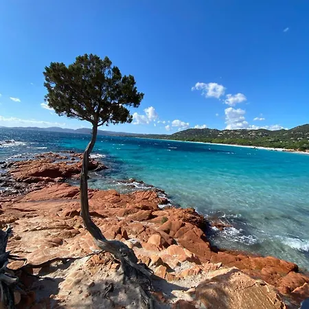 Vila Piscine 10 Pers Domaine De Cala Rossa Corse Du Sud Lecci